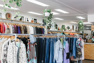 布里斯班的黃色二手店 全球?qū)氄叩脑娨鈼?>
</div>
<div   id=